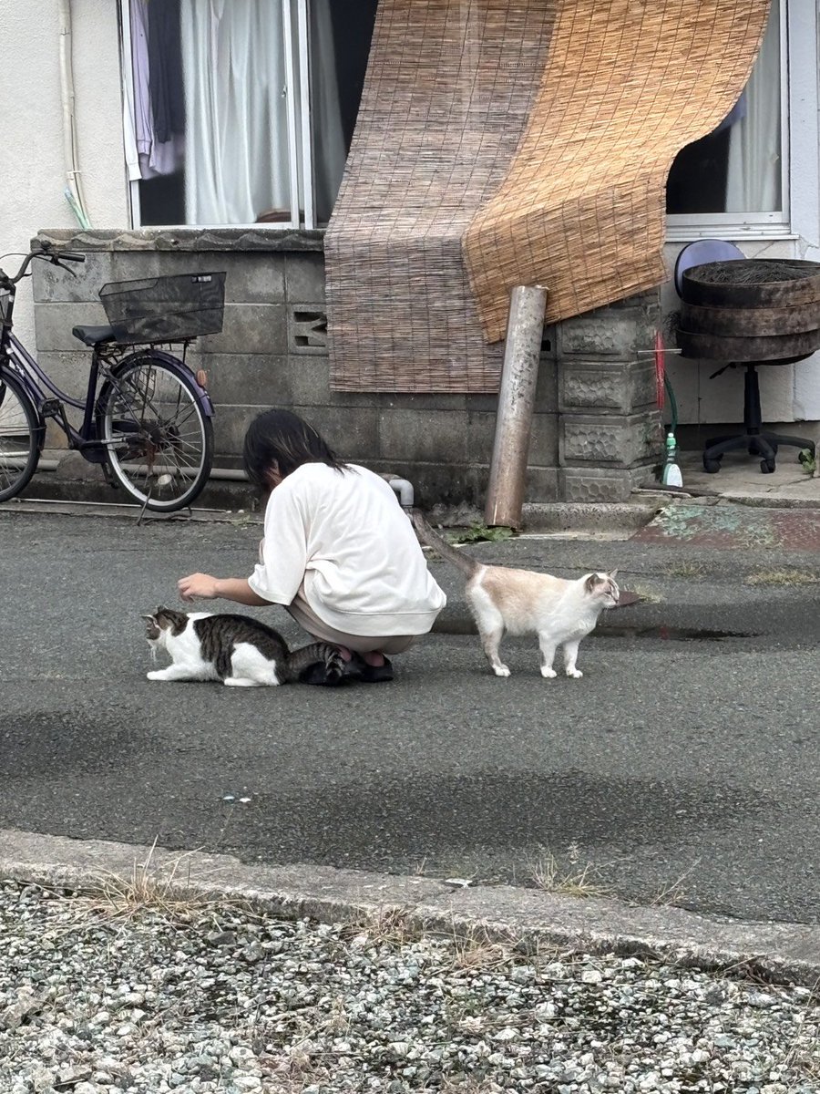 MutukiLuna's tweet photo. 親友と遊んだ時に撮られてたやつ https://t.co/Hv1TB9ngrk