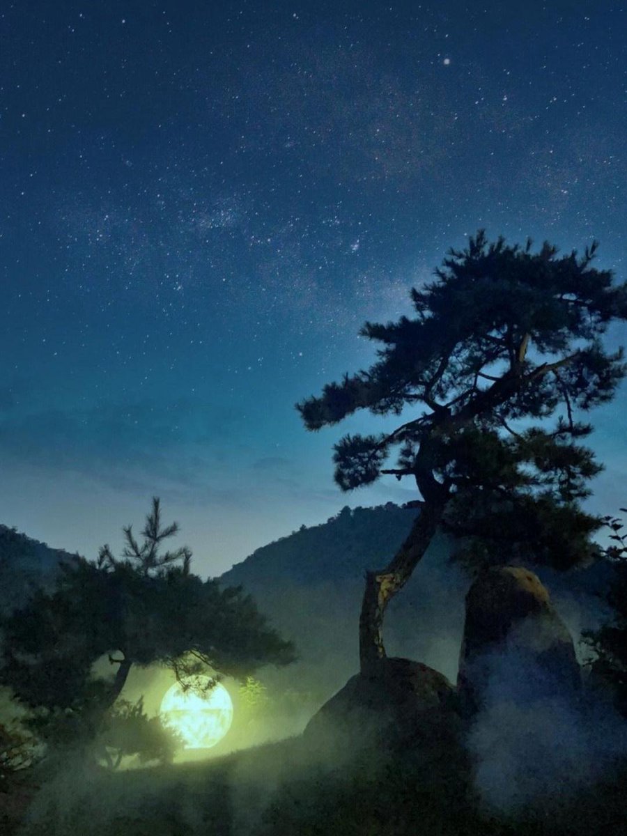 kirazoe662211's tweet photo. Greeted by the sun rising over the pine-covered hills, sipping hot coffee by my tent—this quiet camping morning feels like a little piece of perfect. （配emoji：），简洁地道，贴合露营的松弛感。 https://t.co/dR7eqdL0na