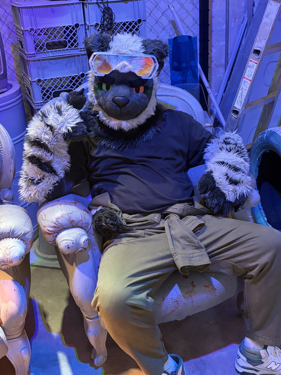 M_A_K_X_'s tweet photo. 보름달은 이쪽이 아니라고...
My eyes are up here!

모두 풍성한 한가위 되세요!
📸:@hachi_sadam 
#FursuitFriday https://t.co/kjHINdnH3V