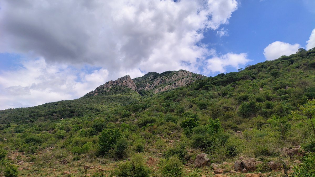 SachinSoonthodu's tweet photo. Trek 137, #Mookannurmalei hits different! Certainly not for beginners!
#travelphotography #photography #SachinSPhotography #backpack #backpacker #travelgram #travelindia #trekking #traveling #tourism #adventure #Karnataka #tourismindustry #solo #bike #Bengaluru #Trending https://t.co/MeDJmIQBVb