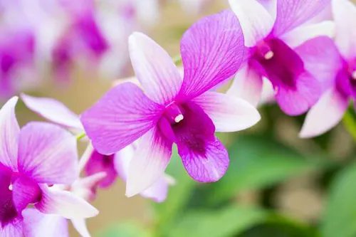 ConsejodeDios's tweet photo. El amor de Dios en los colores de la naturaleza... https://t.co/ujnpplwX8o
