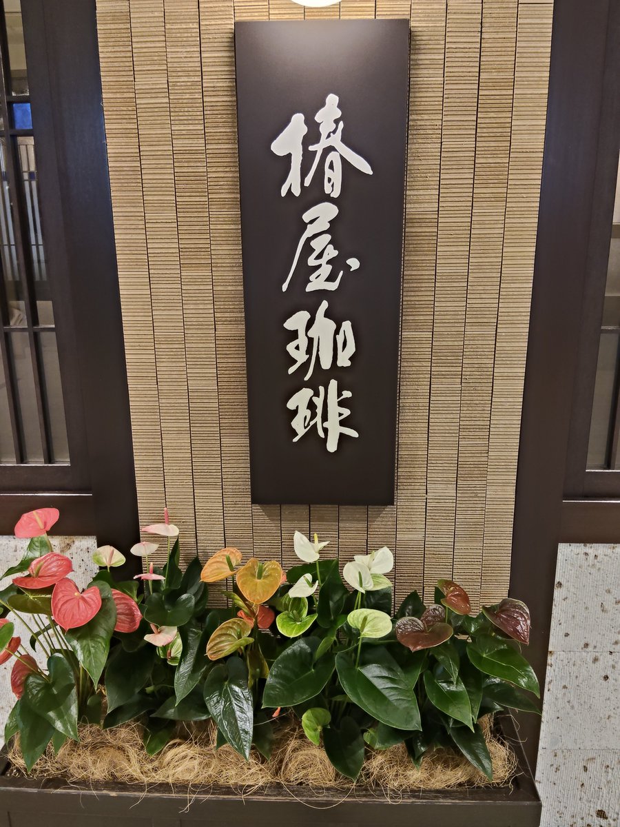ichi_karinto's tweet photo. 佳林ちゃんに会いに来ました🌸🌺

休憩時間に椿屋珈琲という素敵なカフェで背徳的モンブラン😋
文化祭＆後夜祭スペシャル公演も楽しんできます☺️

#スクールアイドルミュージカル 
#スクミュ
#宮本佳林 ちゃん
#滝沢アンズ ちゃん https://t.co/emkbPD6dMg