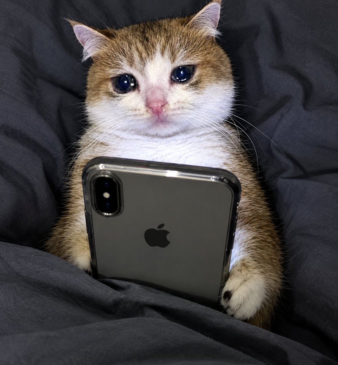 moerniverse's tweet photo. Main tekan je cerita Mothernet dalam Netflix. Rupanya tajuk asal dia ialah Hari Tanpa Ibu. https://t.co/TUu2awmDdx