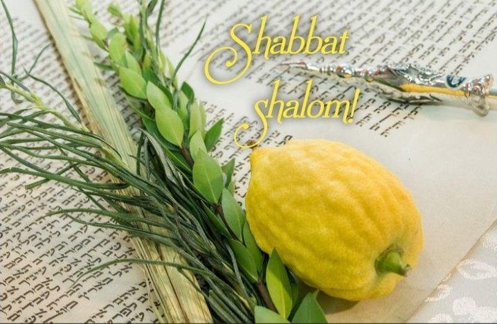 tobierna's tweet photo. Shabbat Shalom and Chag Sukkot Sameach! 
🌿🍋
#ShabbatShalom
#Sukkot https://t.co/gNN6afAvta