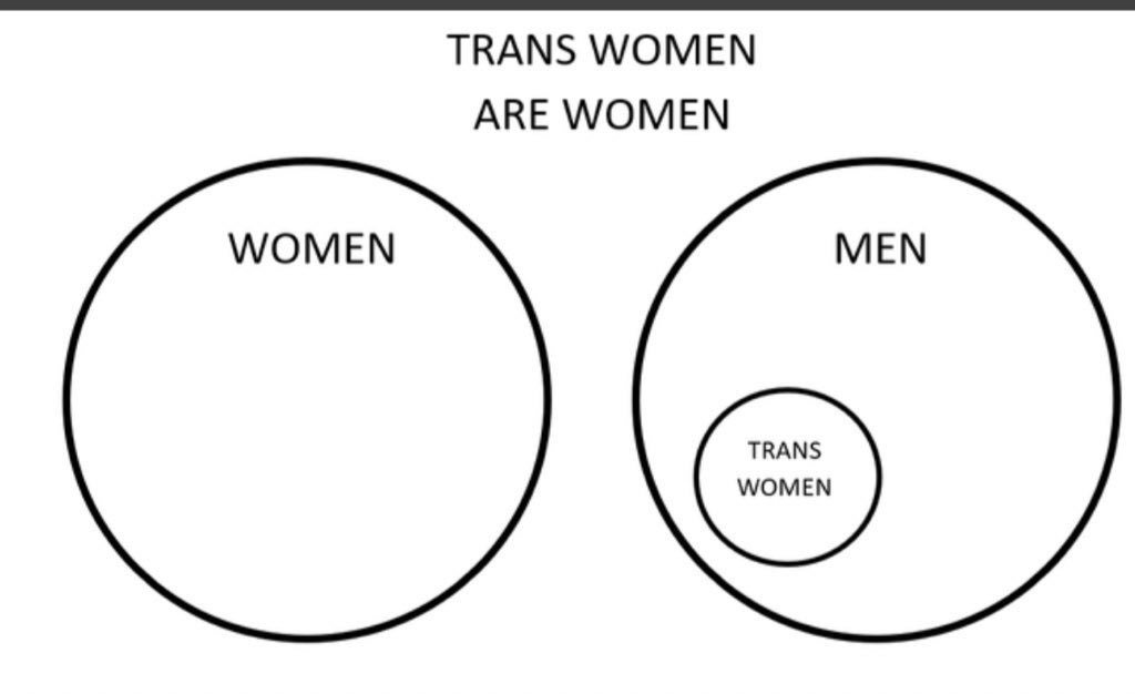 Amadyl_'s tweet photo. @tenbingorudo @SonyaDouglas A handy picture for you, there is actually no need to bring race into this - women who are black, brown, short, fat, thin etc, even those with hysterectomies or short hair and no makeup - are all in the the “women” group whether they like it or not 👍 https://t.co/1DIXNQ6kpR