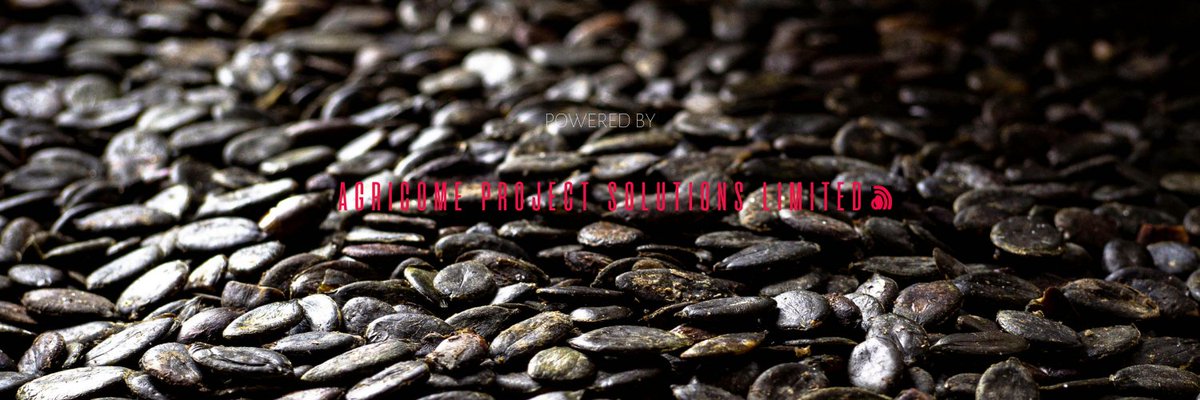 agricomeafrica's tweet photo. Fri 25 September, 2026 • 09:00 AM
Hibiscus ⇛ ₦2,600,000/tonne
Soyabeans ⇛ ₦790,000/tonne
Ginger ⇛ ₦8,000,000/tonne
Cocoa ⇛ 6,400,000/tonne
Cashew nut ⇛ ₦1,900,000/tonne
Sorghum ⇛ ₦345,000/tonne
Sesame ⇛ ₦1,400,000/tonne https://t.co/DESkVAB5lp