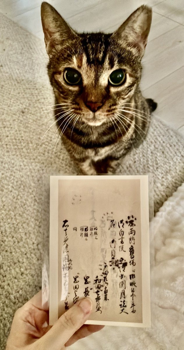 watashiya's tweet photo. 担当のS木さんから
1672年の江戸幕府の公用日記にネコチャンの足跡がついてる〜というマニアックな絵葉書をもらったぞい😆 https://t.co/0RAhiTxX4J