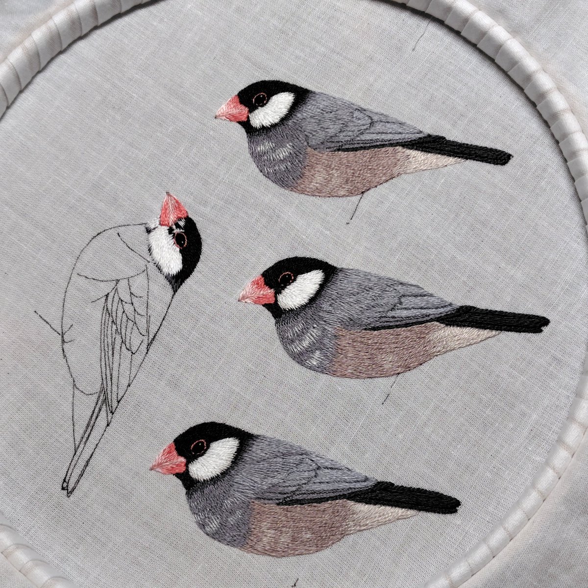aile_et_fil's tweet photo. 文鳥いろいろ🐦
桜も白もシルバーにシナモンも刺繍していきます✨
ほっぺが黒い子も刺繍してみたい🤭 https://t.co/IV5s515R0C