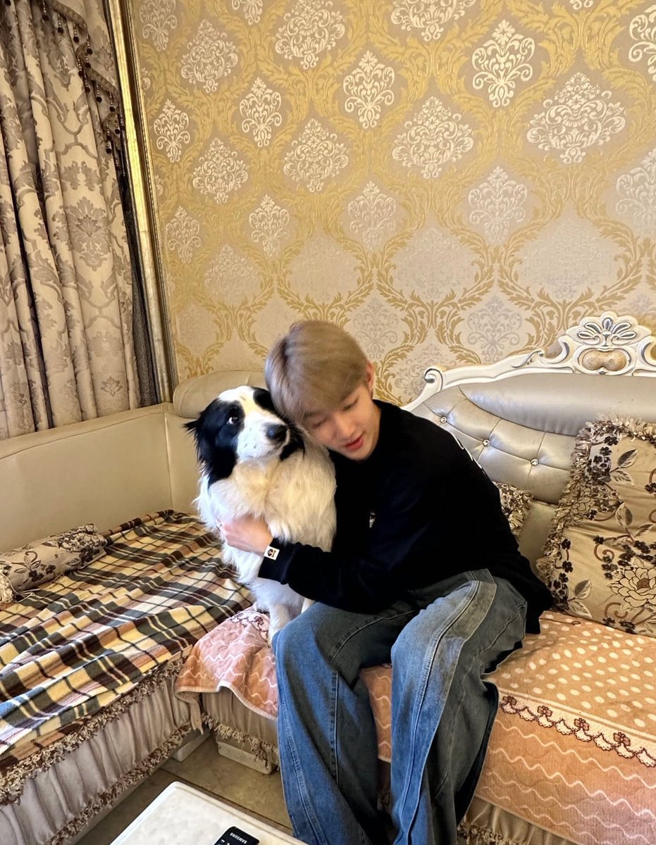 every_day_zh's tweet photo. 니우니운지알앗던강아만낫네 ㅋㅋ♡♡ https://t.co/KJRSNikqf5
