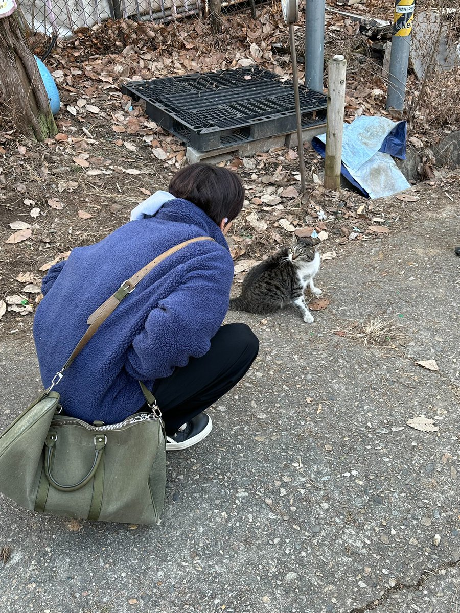 nyangbbi9's tweet photo. 이 사진들 좋은 이유 500가지 중에 하나는 성훈이가 정원이를 바라보던 시점을 사진으로 담아낸 거잖아 그래서 좋음 https://t.co/4IWqkJd7Jw