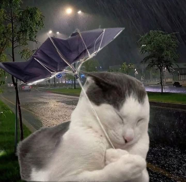 sosomoroto's tweet photo. ฝนตกเเต่ยังต้องไปทำงานอยู่ https://t.co/9UKMnZzXo0