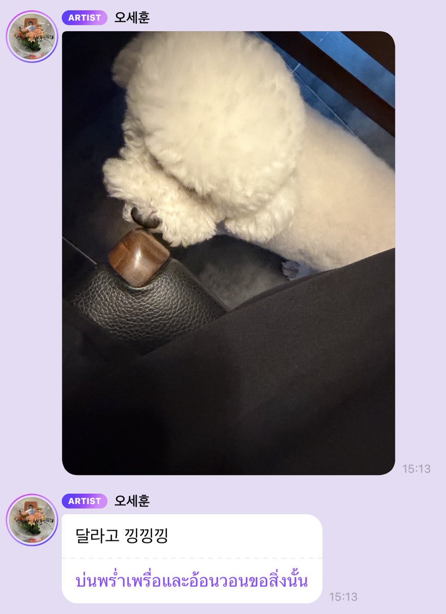 overthehuns's tweet photo. เซฮุนก็ยังรักวีวี่ที่สุดในโลก แล้วก็รู้ว่ายัยแอ๋วก็คิดถึงวีวี่ใช่ม้ายถึงถ่ายมาให้ดูบ่อยๆ แงแง น่ารักกก 🥺🐶🤏🏻 https://t.co/mcr9GojdO0