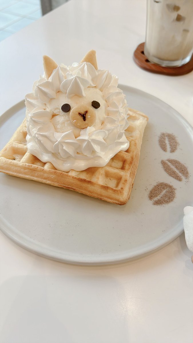 K7Chimchim's tweet photo. アルパカのワッフル食べに行ってきたよー🦙かわいすぎる🥹♡
エスプレッソかけるのヘタ過ぎて、事故現場みたいになった😇
なんかごめんねジンくん😂

#アルパカワッフル
#ALAM
#Cafe https://t.co/BV6Y77zC3K