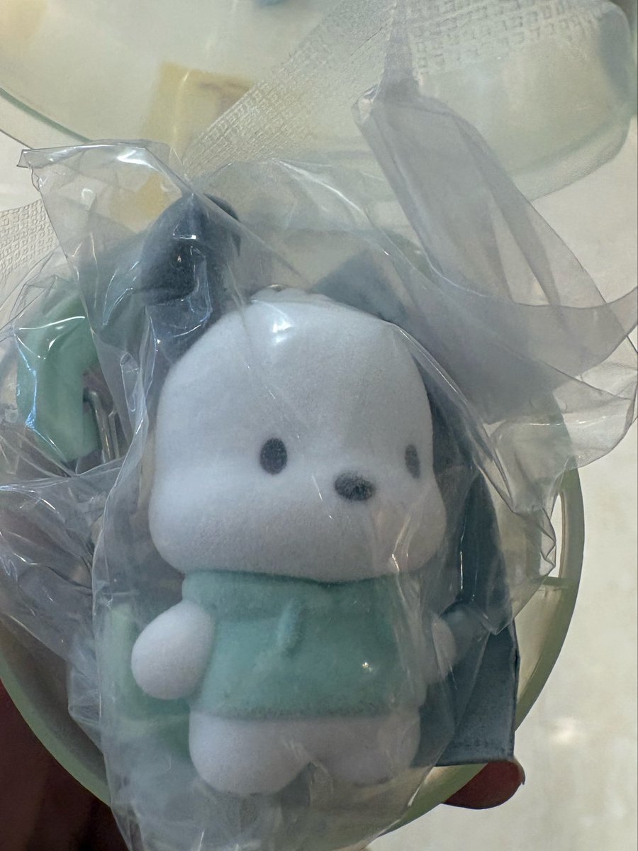 ochazukes2's tweet photo. 交換 サンリオ カラフルカラビナ マスコットチャーム ガチャ

譲 ポチャッコ

求 ポムポムプリン

郵送希望です📮お気軽にお声掛けください https://t.co/tFCcqnIDA6