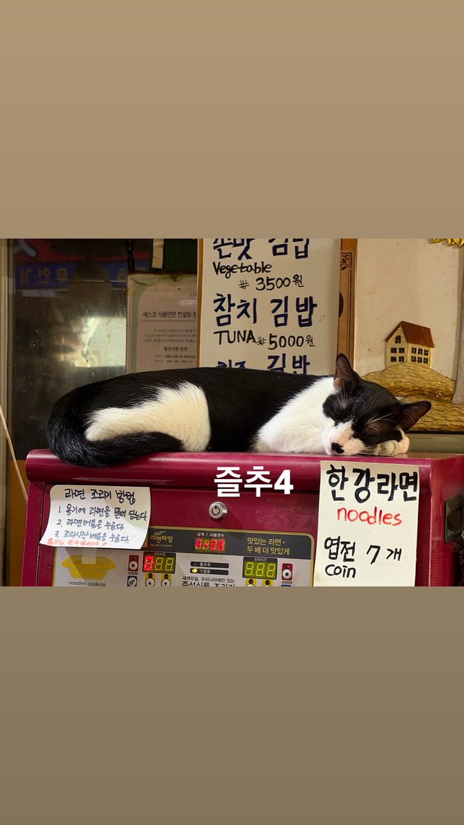 RM91227's tweet photo. 260925 #RM 인스타 스토리 (4)
https://t.co/yUyHY9QNAX https://t.co/WI0cwq0D23