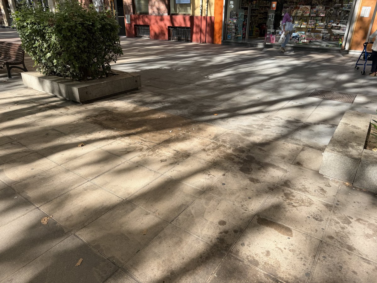 VAabandonada's tweet photo. Este es el estado del paseo de Zorrilla 12 días después del final de las fiestas
#Valladolid #VAabandonada https://t.co/Ee9H68Mm34