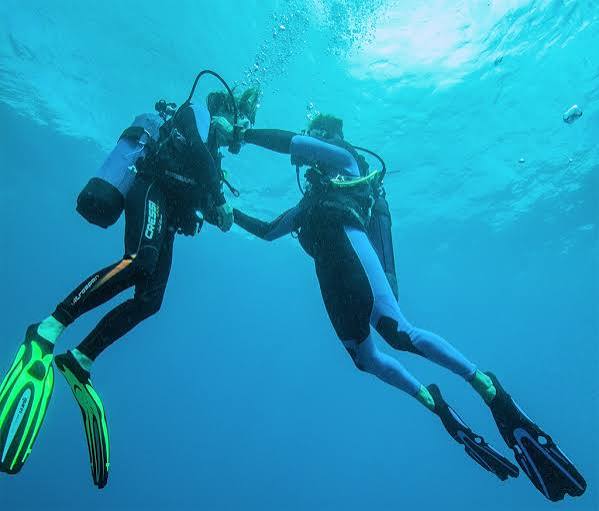 BoussardFr84098's tweet photo. J'ai servi comme plongeur dans la marine nationale 🇫🇷pendant quelques années. Pour remonter d'une profondeur de 35 m ou vous avez passé une assez longue durée vous devez effectuer des paliers, c'est à dire que vous ne pouvez pas remonter directement à la surface sans risquer la mort, vous devez passer par des étapes intermédiaires à différentes profondeurs ou vous attendez patiemment en regardant votre montre avant de remonter au palier suivant. 
Nous sommes collectivement dans cette position : notre civilisation était tombée très bas et nous devons rejoindre la surface progressivement en maitrisant la vitesse de remontée. C'est long, mais nous ne pouvons pas faire autrement...
Faisons confiance au directeur de plongée qui à la surface veille sur nous.
