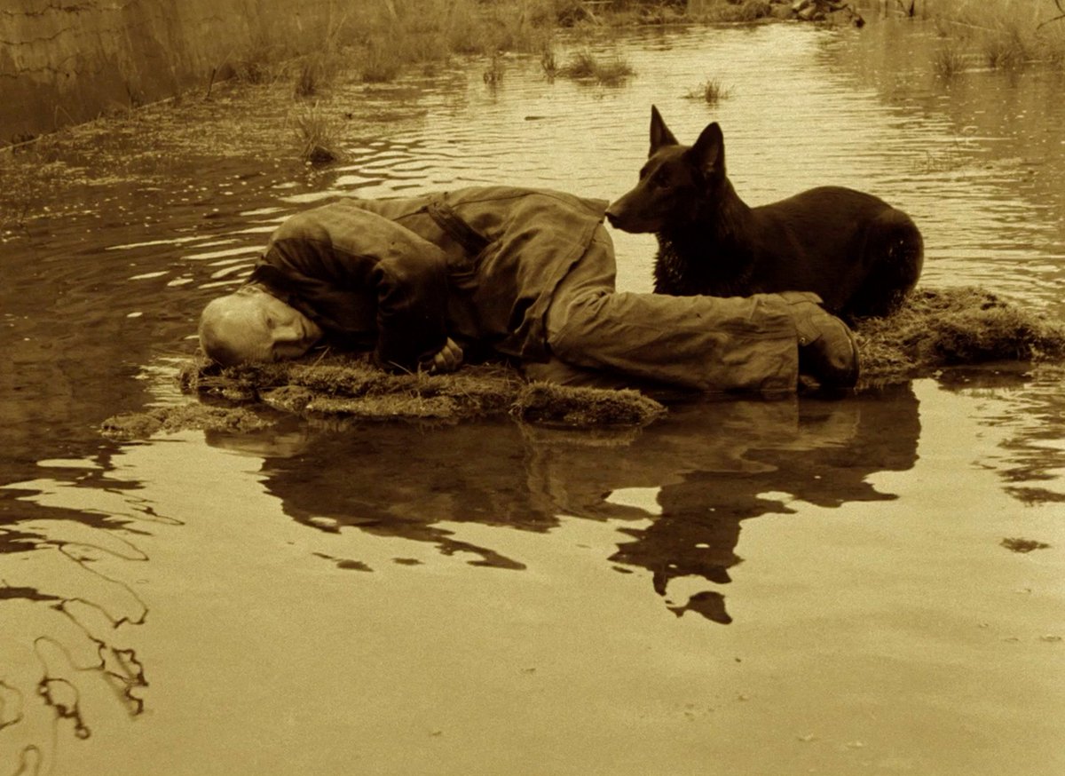 filmfr4me's tweet photo. Stalker (1979)
director: Andrei Tarkovsky https://t.co/f8vYb3PPpa