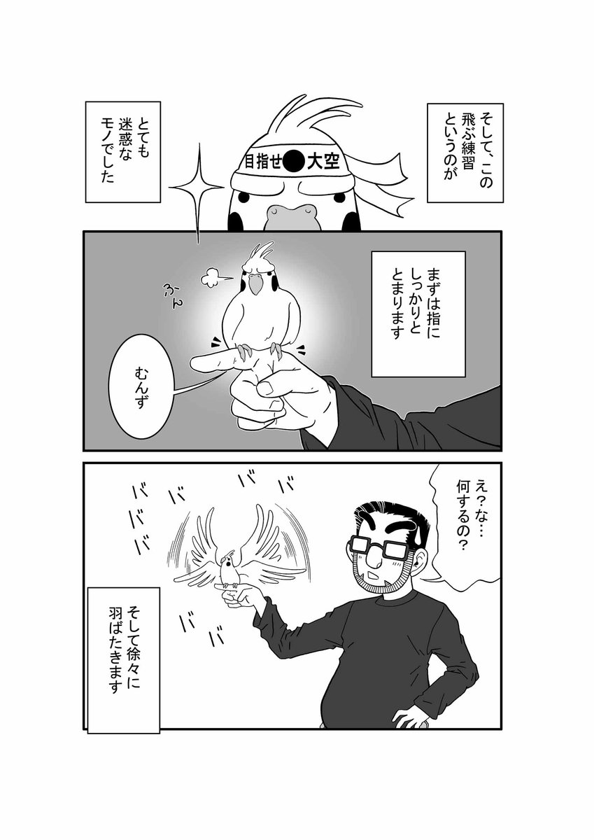 iichiko_hana's tweet photo. うわぁ……pixivFANBOXで、いいちこインコさんが飛ぶ練習をしていた漫画…
決済事業者からの指摘を受けて、公開停止になっちゃった…
この漫画がNG判定になるんだ…

コレじゃ、噛み癖のあるインコとか、漫画に描いたらNGになっちゃう可能性もある……って事なんかな… https://t.co/ZVB3TTFaOY