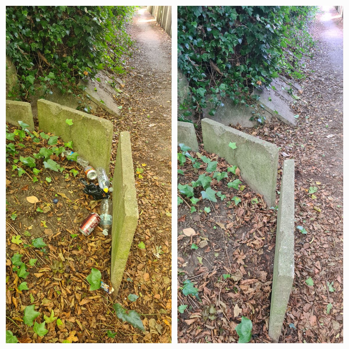 mike56200's tweet photo. An *irresistible bin* here in this alleyway in Aldridge. Once one starts a bin the others soon follow they can't help themselves it seems
  #notabin https://t.co/K7oC2xUiUY