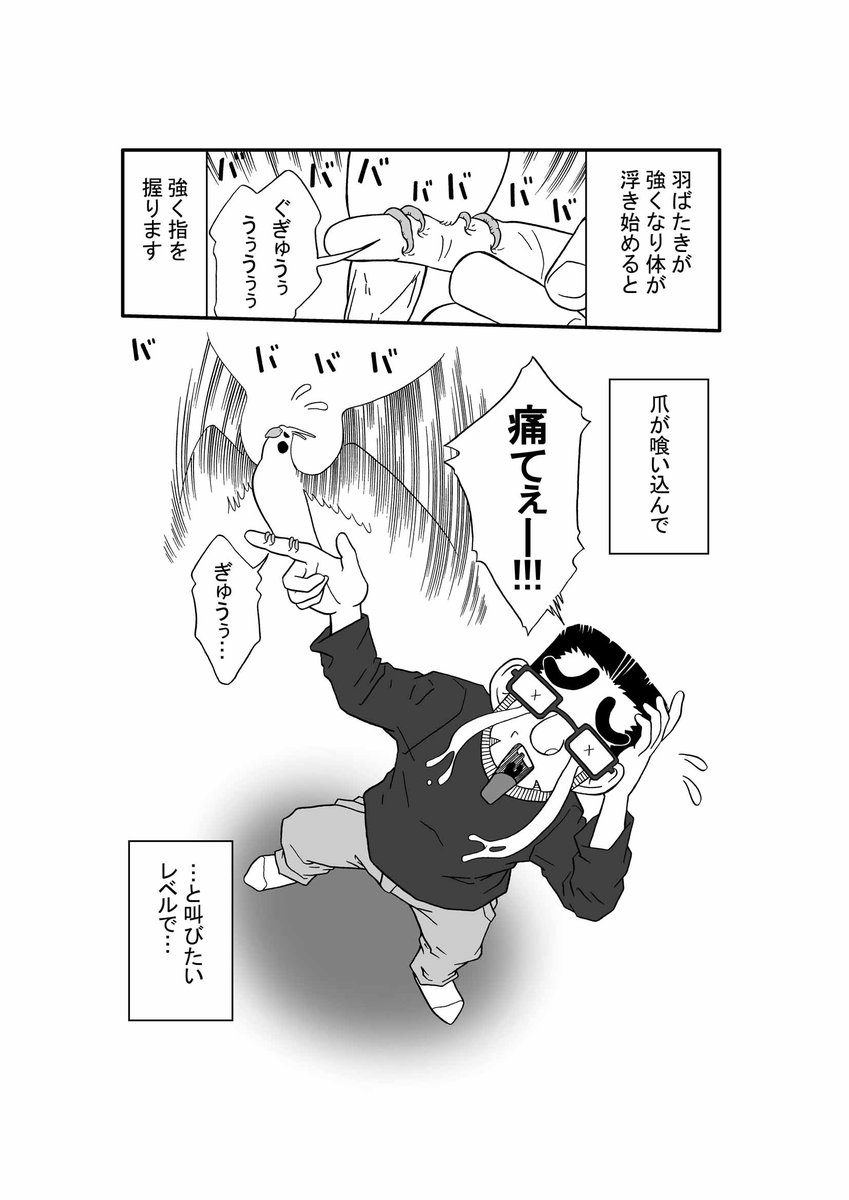 iichiko_hana's tweet photo. うわぁ……pixivFANBOXで、いいちこインコさんが飛ぶ練習をしていた漫画…
決済事業者からの指摘を受けて、公開停止になっちゃった…
この漫画がNG判定になるんだ…

コレじゃ、噛み癖のあるインコとか、漫画に描いたらNGになっちゃう可能性もある……って事なんかな… https://t.co/ZVB3TTFaOY