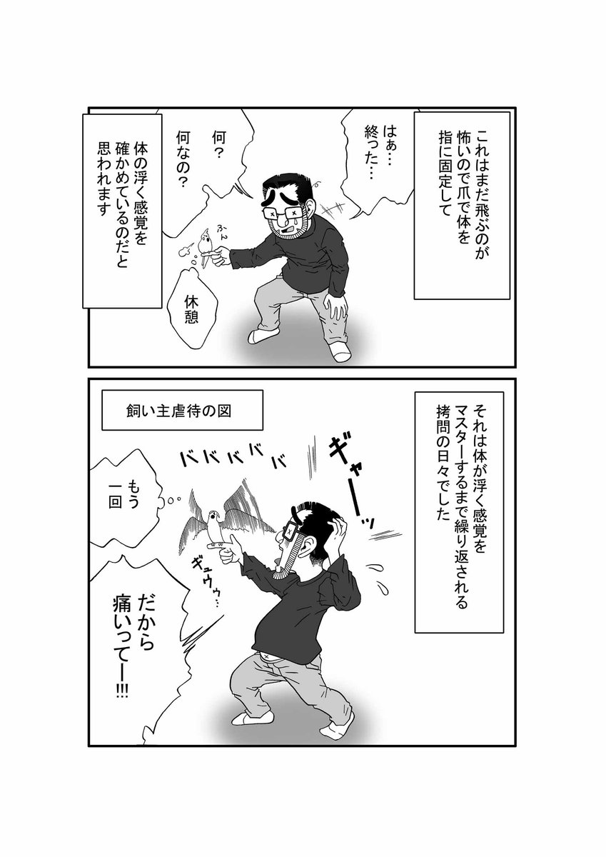iichiko_hana's tweet photo. うわぁ……pixivFANBOXで、いいちこインコさんが飛ぶ練習をしていた漫画…
決済事業者からの指摘を受けて、公開停止になっちゃった…
この漫画がNG判定になるんだ…

コレじゃ、噛み癖のあるインコとか、漫画に描いたらNGになっちゃう可能性もある……って事なんかな… https://t.co/ZVB3TTFaOY