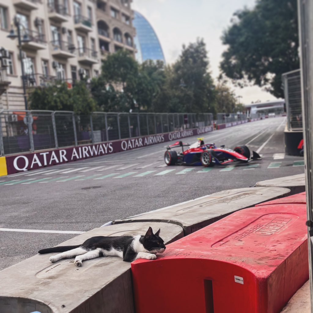 boniphoto_'s tweet photo. Baku cat enjoying race action from track side 😼🏎️ | 📷 Xavi Bonilla / DPPI | #boniphoto https://t.co/3hVHDo9k5I