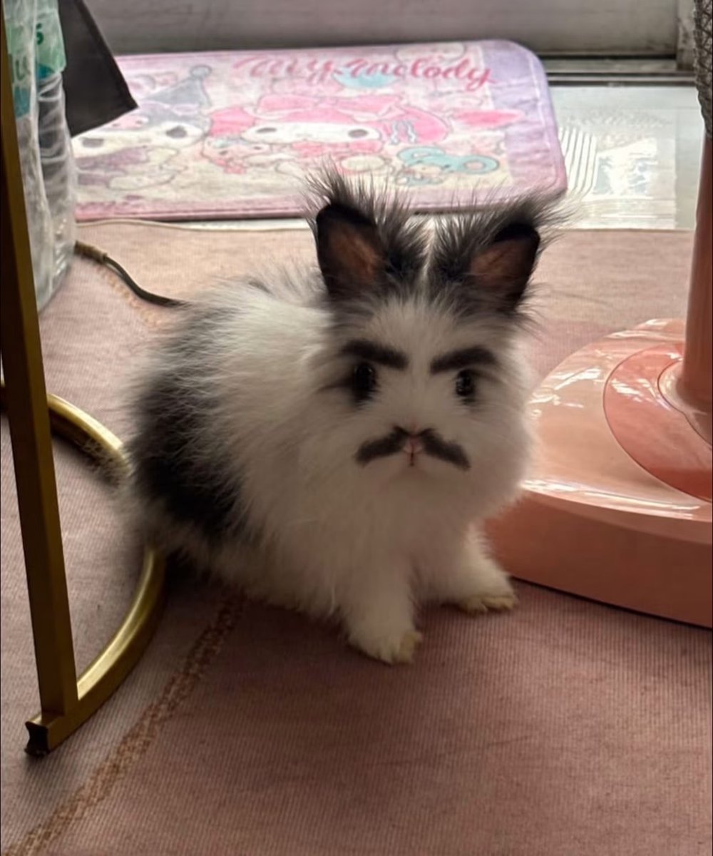 knppnkk's tweet photo. บิบิ๋ตอนบอกว่าวันนี้หนูจะเป็นเฮีย5555

#nampingster https://t.co/gN90eQlwMB