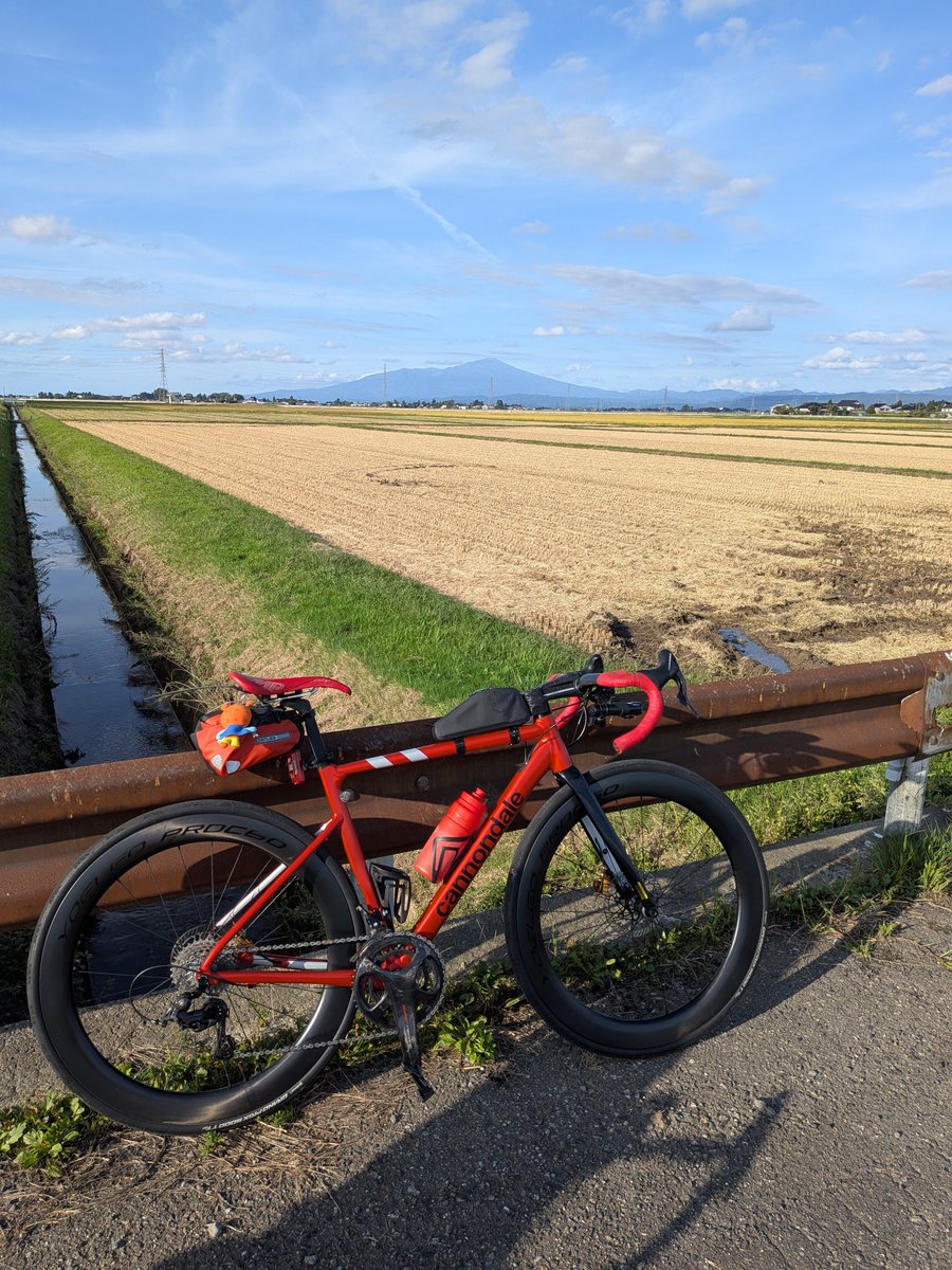 commesso1's tweet photo. 地元三川町をグルっと走ってみました。
ツールド三川　およそ40km　
基本田んぼ道　稲刈りの匂いがずっとしました。ゴールは　#なの花温泉　#田田　へ。 https://t.co/OaZTNRLrfK