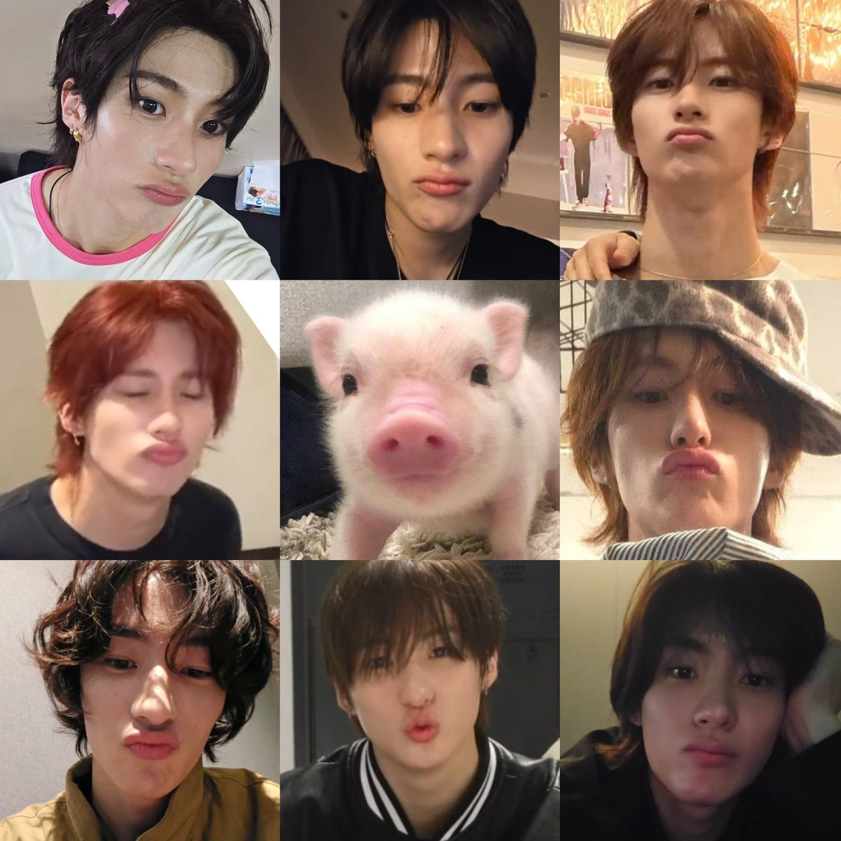 yourrubyx's tweet photo. verify โพมุ๋อุ้ด โดยพิวอนบิน .. 🐽✅ https://t.co/5vVr9rMj4p
