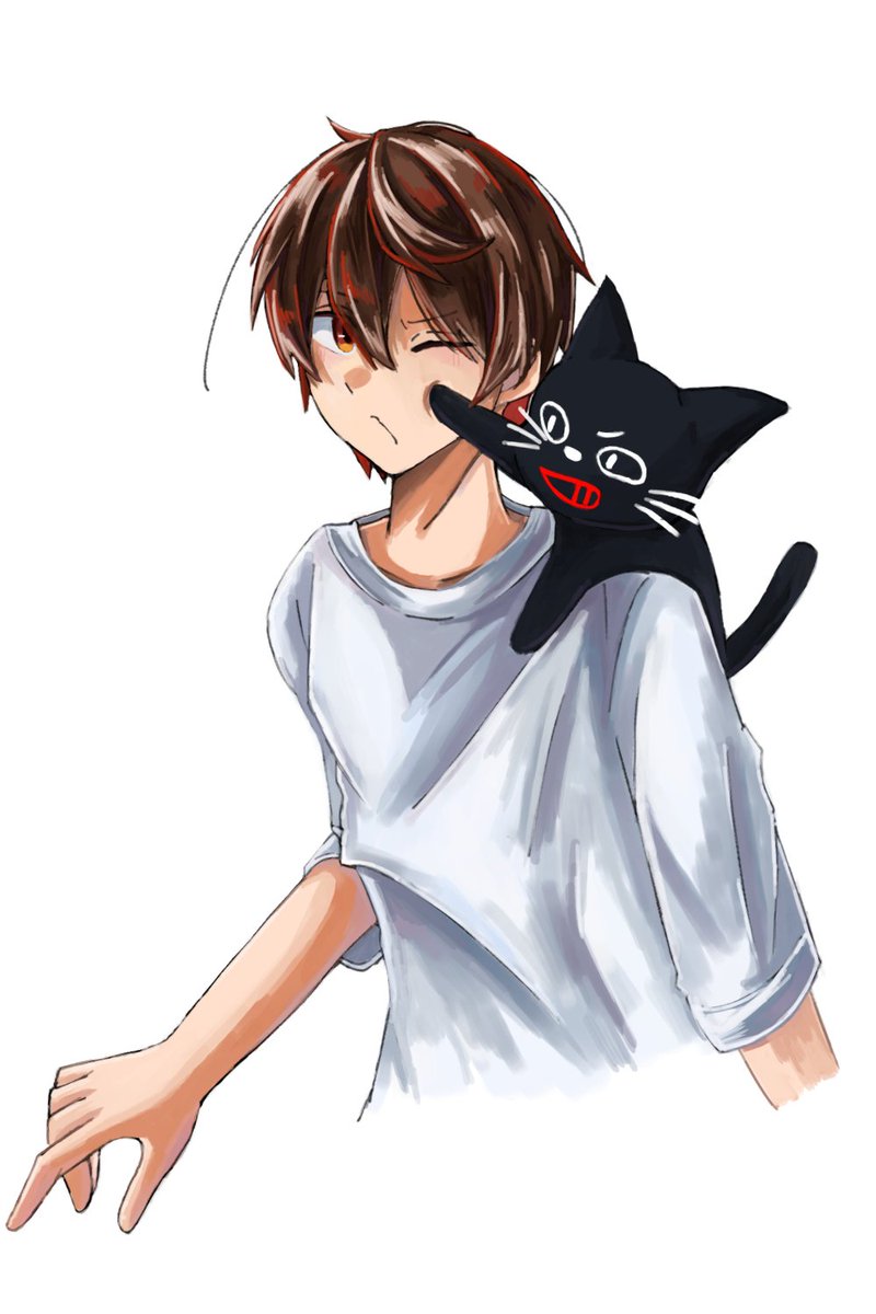 Mememekohakoko's tweet photo. 🐱 https://t.co/c63rtu43AO