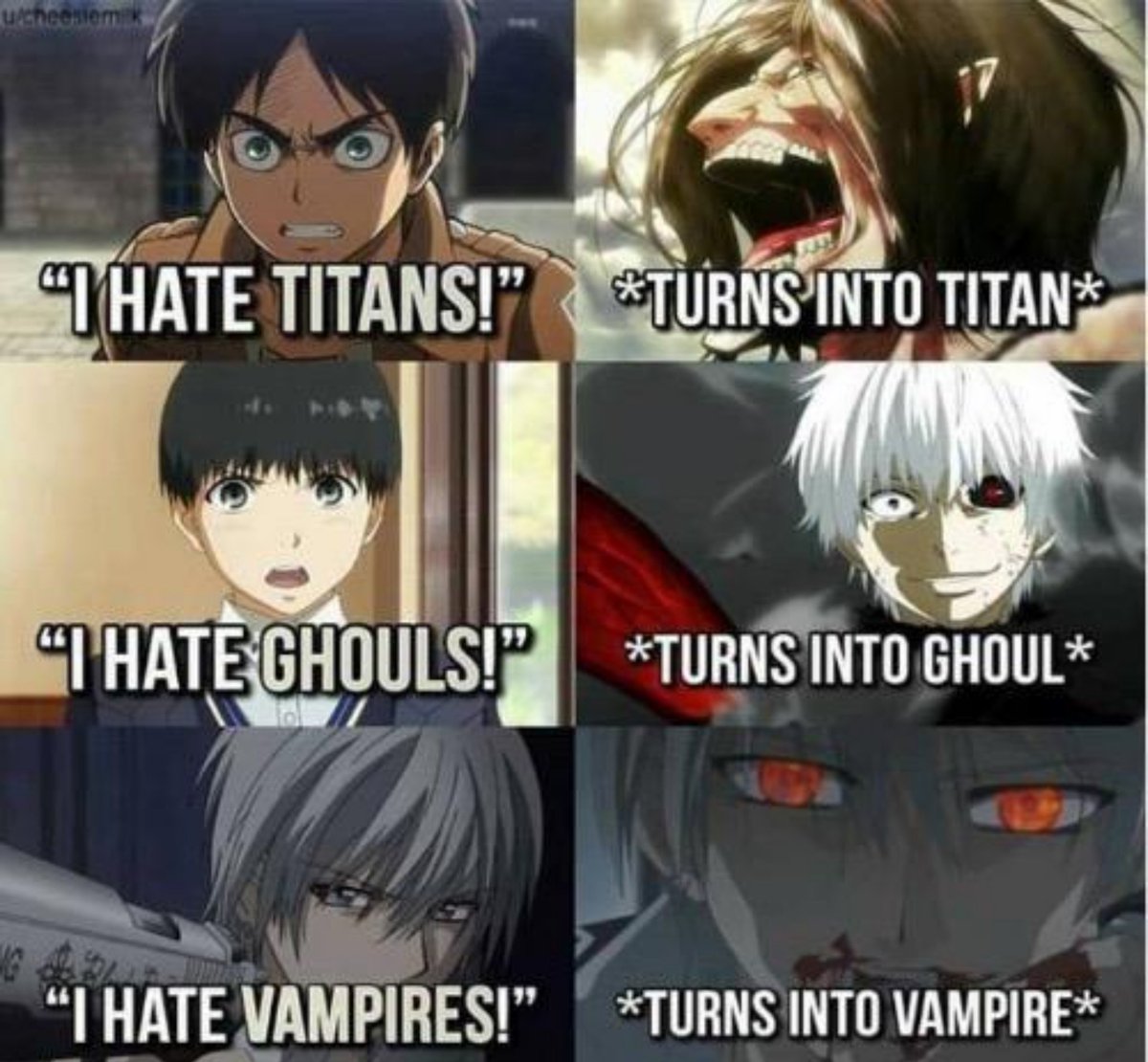 HanTheHooman's tweet photo. >hates yuritards

>Becomes worse than yuritards https://t.co/txiSZgSU4N
