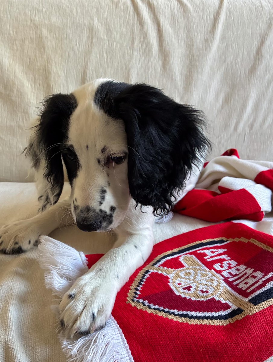 EleonorBrec2mr's tweet photo. First game of the season for @arsenalwfc today, and their newest fan is ready. COYG! https://t.co/AvQAFPTS9s
