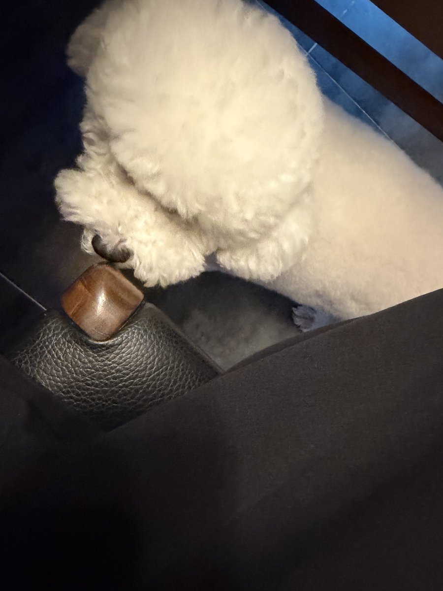 milkteus's tweet photo. 260925 SEHUN BBL UPDATE 🧼💌

(photo)
“a home-cooked meal is the best”
“let’s eat and gain some weight!”
(photo of vivi)
“(he’s) whining (for me) to give it (to him)” (cutely) https://t.co/oIAbEjL0Uh