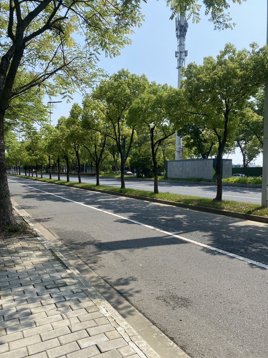 _joich's tweet photo. ไปเที่ยวแบบใดไม่รู้ เน้นเดินสวนสาอย่างเดียวเลย วิวเมืองอู๋ซีฮะ #Wuxi https://t.co/jwe8WXUFLe