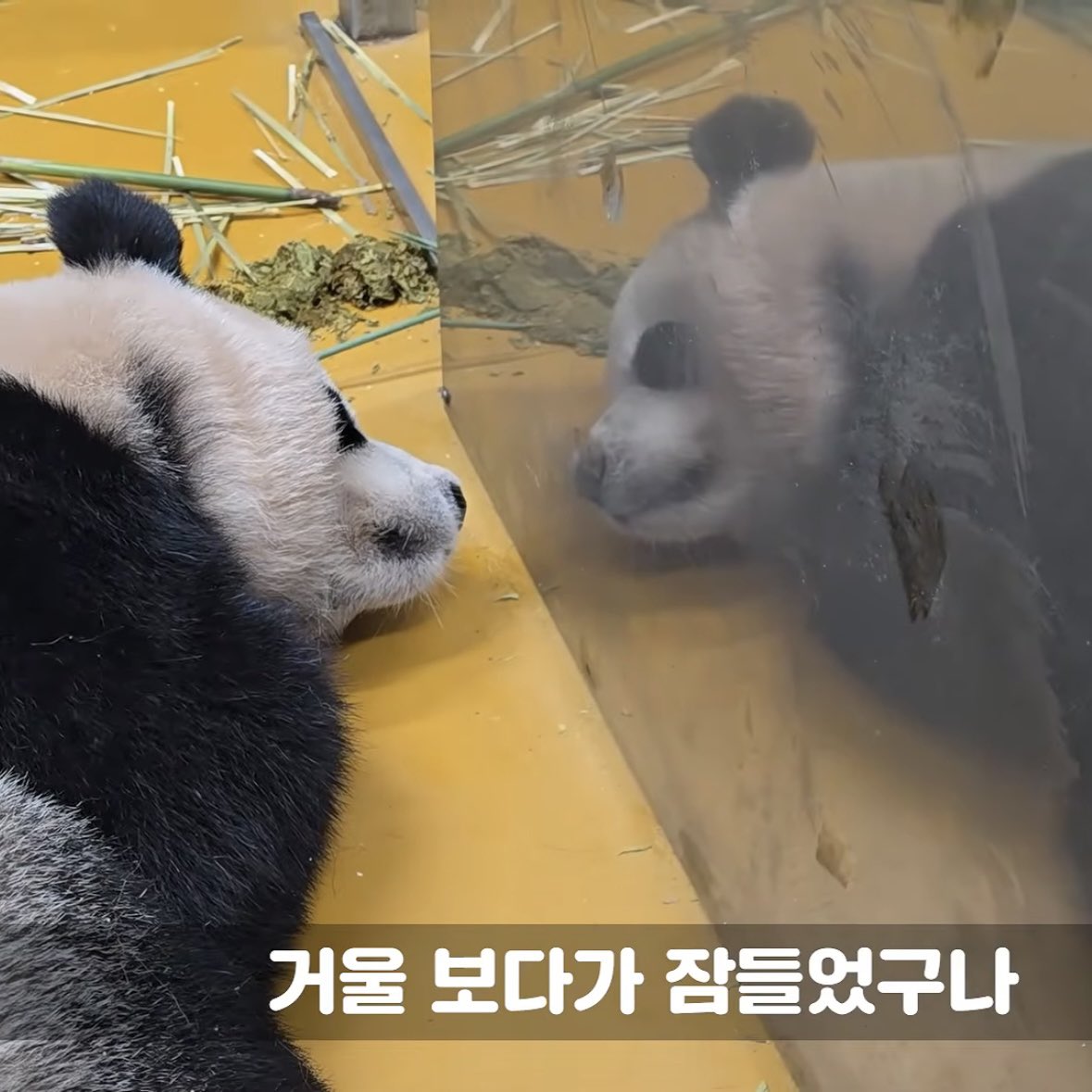 woafu7's tweet photo. 너는 나.... 나는 너....zz https://t.co/fe2OqahaZm
