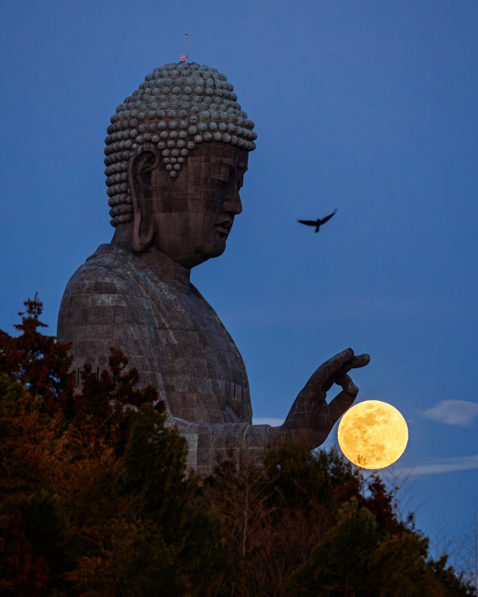 yuyar33's tweet photo. 今夜は中秋の名月🎑🌕

これまで撮影した牛久大仏と満月🌕

全て合成無し1枚撮り
#tokyocameraclub https://t.co/JgWVceaqnI