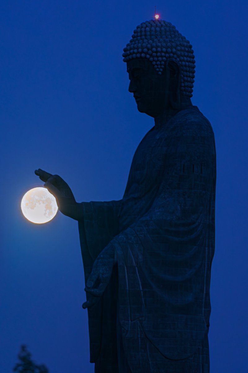 yuyar33's tweet photo. 今夜は中秋の名月🎑🌕

これまで撮影した牛久大仏と満月🌕

全て合成無し1枚撮り
#tokyocameraclub https://t.co/JgWVceaqnI