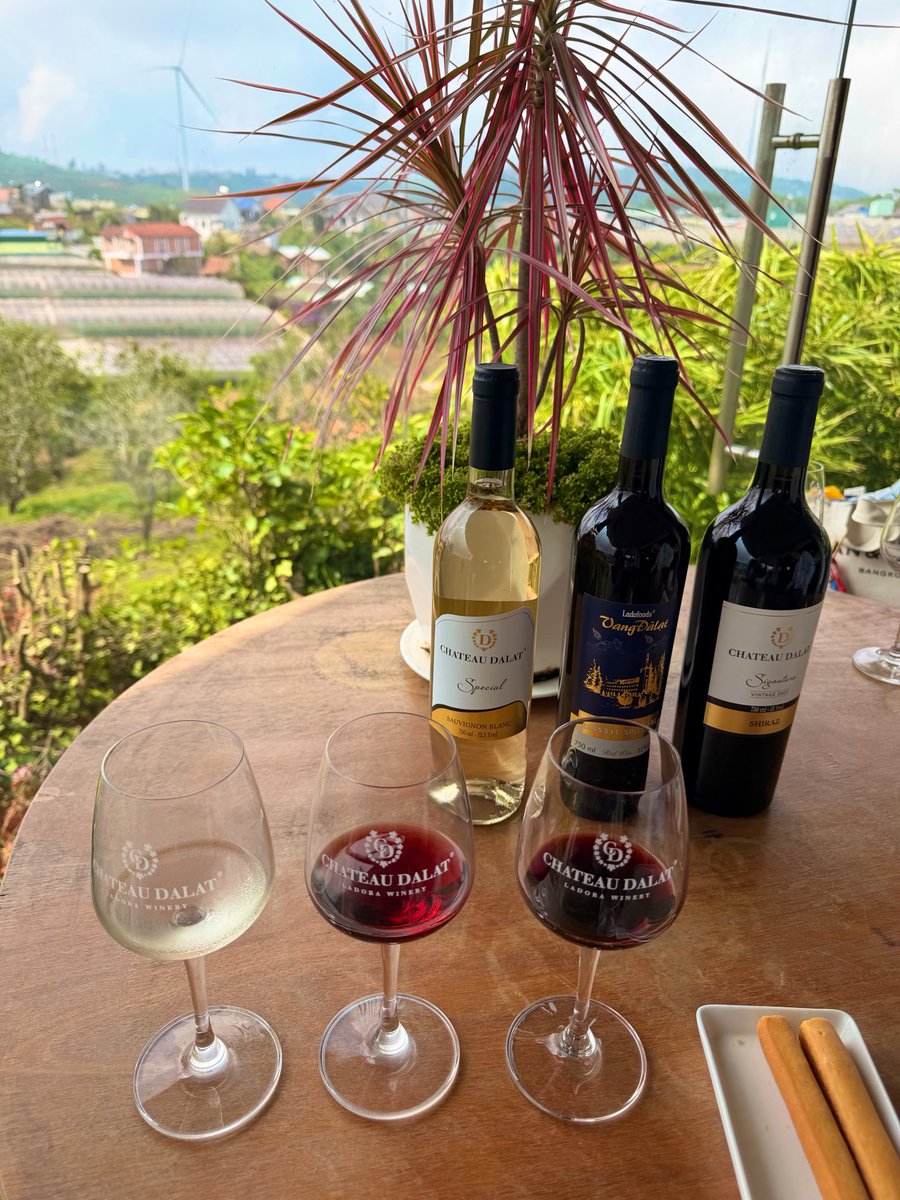 fleur85172820's tweet photo. ワイナリー訪問🍷
ベトナムワインのクオリティーの高さに、正直驚き✨
3種類をテイスティング（希望すれば他も試飲OK）
味わいから葡萄のポテンシャルを上手く引き出しているのが伝わってきます。
お手頃価格でデイリーワインにおすすめ。自宅用にも購入しました🍾

#ダラット 
📍 Hầm Vang Đà Lạt https://t.co/9VAiAQCQI7