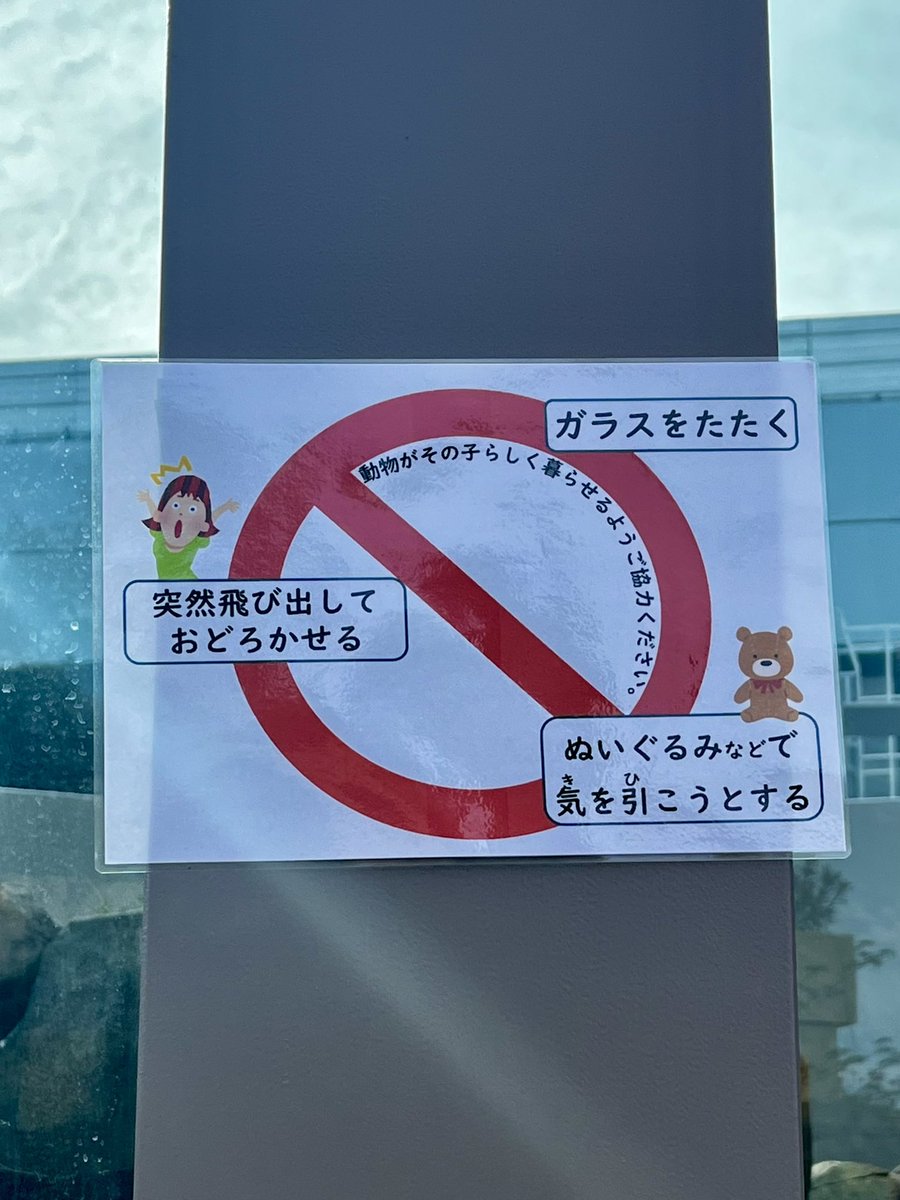 solatanhouhua's tweet photo. 本日、
飼育員さんが掲示してくださいました🙏

2026.9.25.

#ホウちゃん 
#天王寺動物園 
#ポーラーベアコースト https://t.co/8swLOvDanX