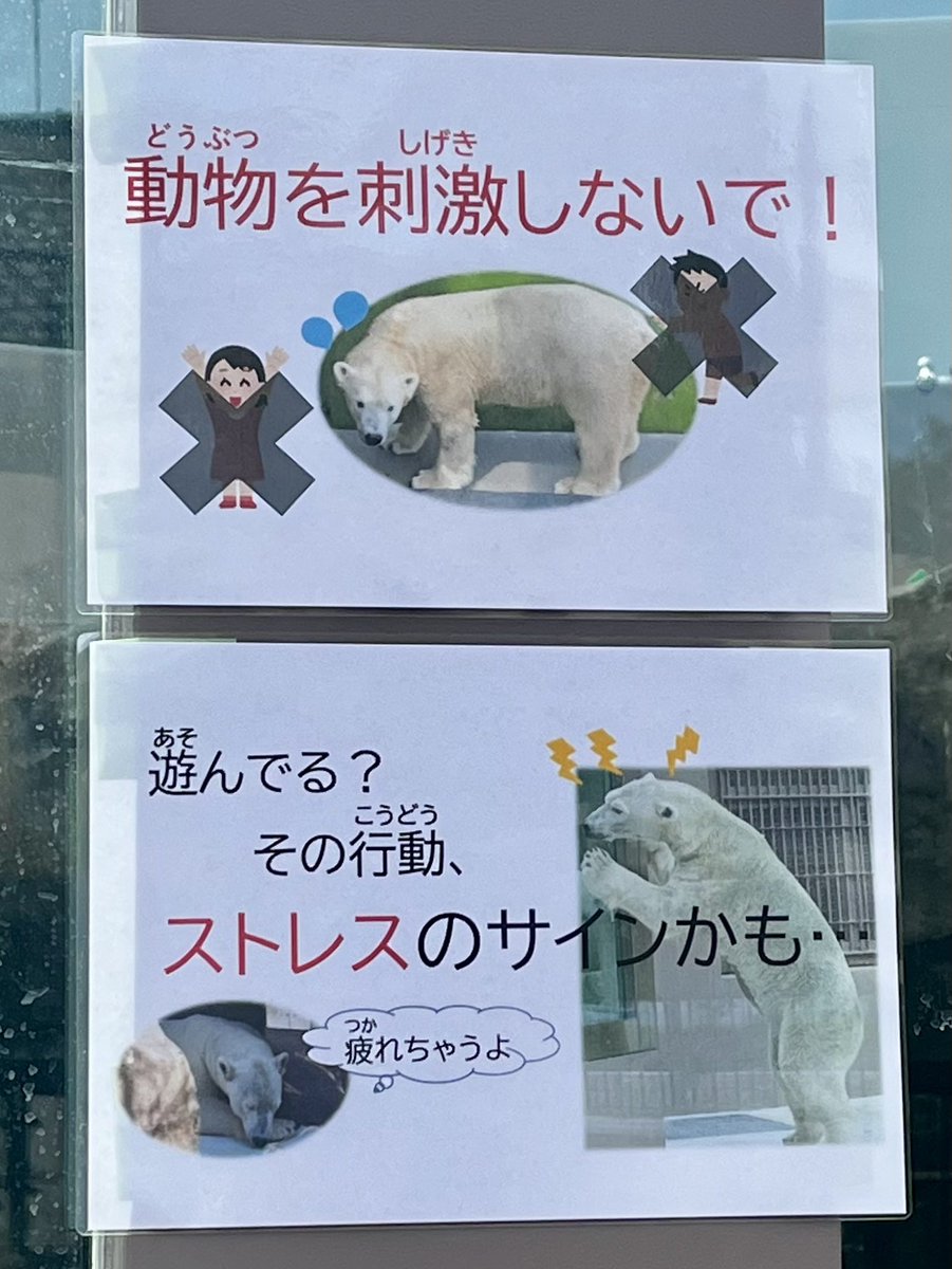 solatanhouhua's tweet photo. 本日、
飼育員さんが掲示してくださいました🙏

2026.9.25.

#ホウちゃん 
#天王寺動物園 
#ポーラーベアコースト https://t.co/8swLOvDanX