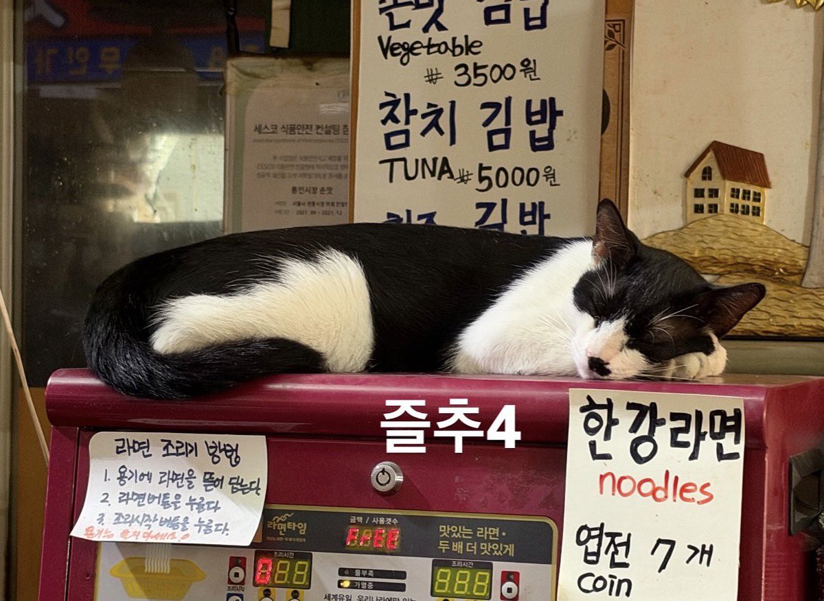 from7micasa's tweet photo. 와 진짜 잘 노네 https://t.co/3kqfX6wYg6