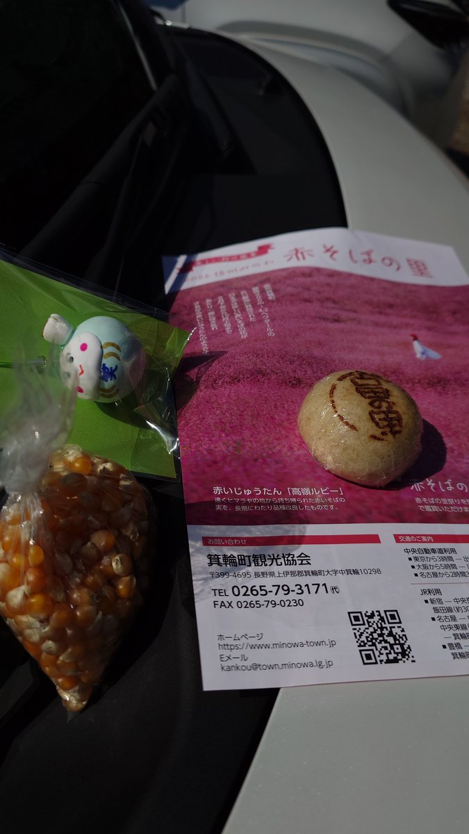 tp5x73's tweet photo. 赤そばの群生😍
小学生がお店を出していてかわいい根付とポップコーン🍿、あと里のおばあちゃんたちが作るおまんじゅう買いました☺️
根付は頭にコーヒーカップが乗っている斬新デザイン✨🤭
#赤そばの里 https://t.co/tI0tAs6vxp