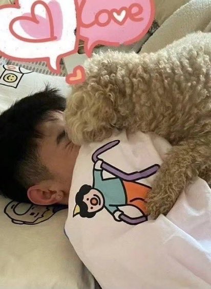 zghaosolo's tweet photo. haohao with baobao ❤︎⁠ https://t.co/skBG4PaUrs