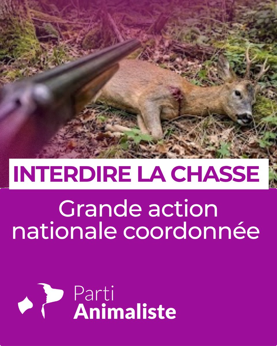 PartiAnimaliste's tweet photo. 🟣 INTERDIRE LA CHASSE : le Parti animaliste appelle à une mobilisation nationale les samedis 10 et 17 octobre pour dire STOP À LA CHASSE.

🔥 Cet été, des animaux sauvages ont été brûlés vifs ou affaiblis par les incendies et la sécheresse. La chasse a pourtant repris.

✍️ Plus de 500 000 personnes ont signé pour un moratoire de trois ans sur les zones sinistrées. 

🟣 Le Parti animaliste veut aller plus loin avec l'interdiction définitive de toutes formes de chasse.

📍 Des marches, des happenings, des tractages seront organisés et des stands seront installées dans 15 villes. Nos correspondants et nos bénévoles seront heureux de vous y rencontrer !

🐾Alors rejoignez nous, où que vous soyez. 🐾 

📌Liens des événements sur Facebook : 

 ✅️ Nantes : https://t.co/nGNYPEvxuK

✅️ Metz : https://t.co/v6sNSUHAlI

✅️ Bar-le-Duc :  https: https://t.co/5hHli3W1OU

✅️ La Ferté-Saint-Aubin : https://t.co/J54XbmRvGa

✅️ Périgueux : https://t.co/gGq6ulp5iP

✅️ Paris : https://t.co/fICfxgiidk

✅️ Bordeaux : https://t.co/e2e3NXB12g

✅️ La Rochelle : https://t.co/Y8dtMEVLtL

✅️ Vannes : https://t.co/Ywwb1DETJu

✅️ Montpellier : https://t.co/TNNOTp9RJf

✅️ Lyon : https://t.co/EfSU2Qunpe

✅️ Colmar : https://t.co/CxnJ2gvOjW

✅️ Saint-Raphaël : https://t.co/7yclpaDcc0

✅️ Seyssinet-Pariset : https://t.co/uvhdADJxUh

✅️ Amiens : https://t.co/yc5PhAPzDP

#Chasse #CauseAnimale #PartiAnimaliste #politiqueanimaliste #Mobilisation #stopchasse #LesAnimauxComptent