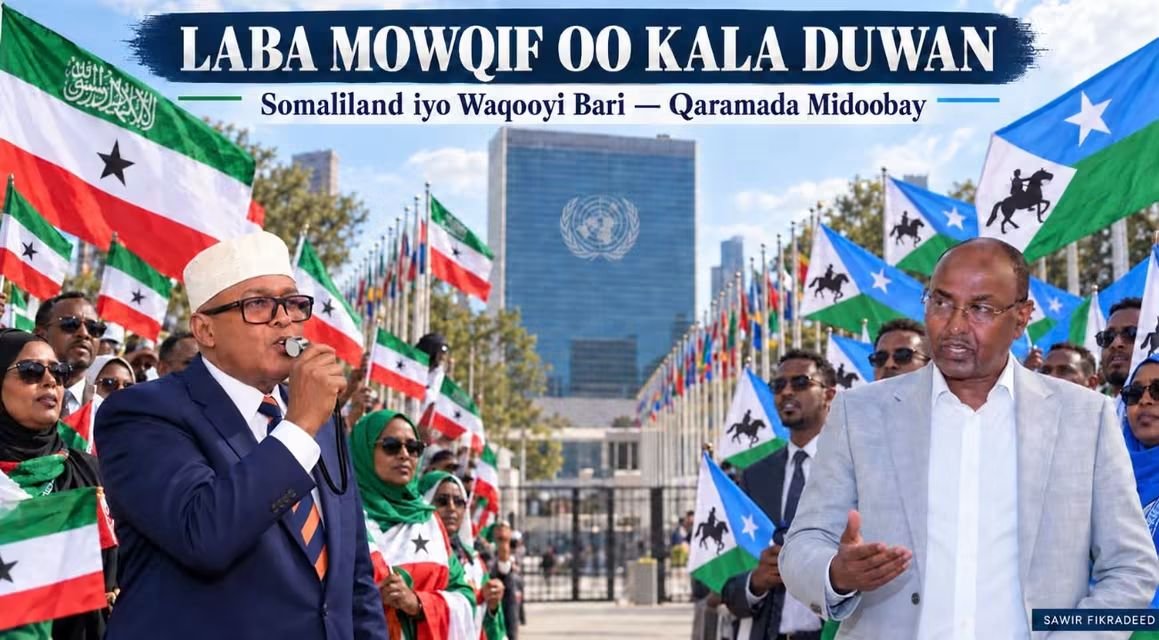 AWEISIbrahim4's tweet photo. @FaqiAlis https://t.co/SkhBWjuxCb