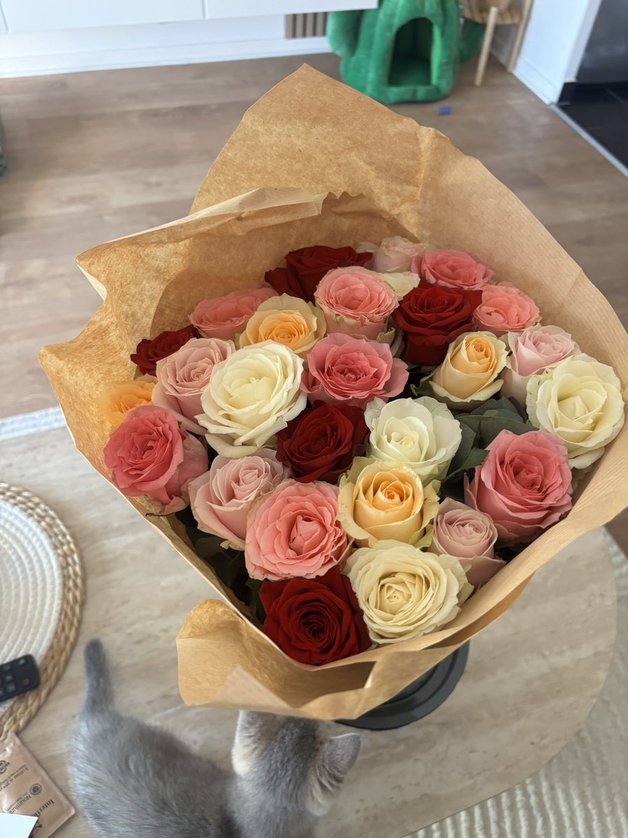 unknww__'s tweet photo. purée trop mignon 🥹🥲❤️ https://t.co/0cvocp84LD