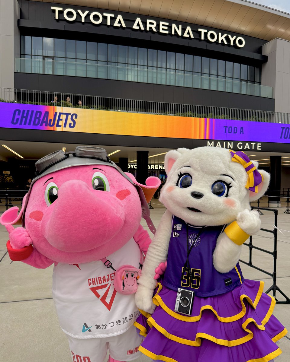 CHIBAJETS's tweet photo. #ジャンボくん がサンディーのカワイイ妹の #ヴィンディー とも初対面しました🤝💕これからいっぱい仲良くしてくれるとの事です🫶
#千葉ジェッツ #東京サンロッカーズ
@TokyoSunrockers @36Sundy 
@Jumbokun_GOJETS https://t.co/VEhkD0G7el