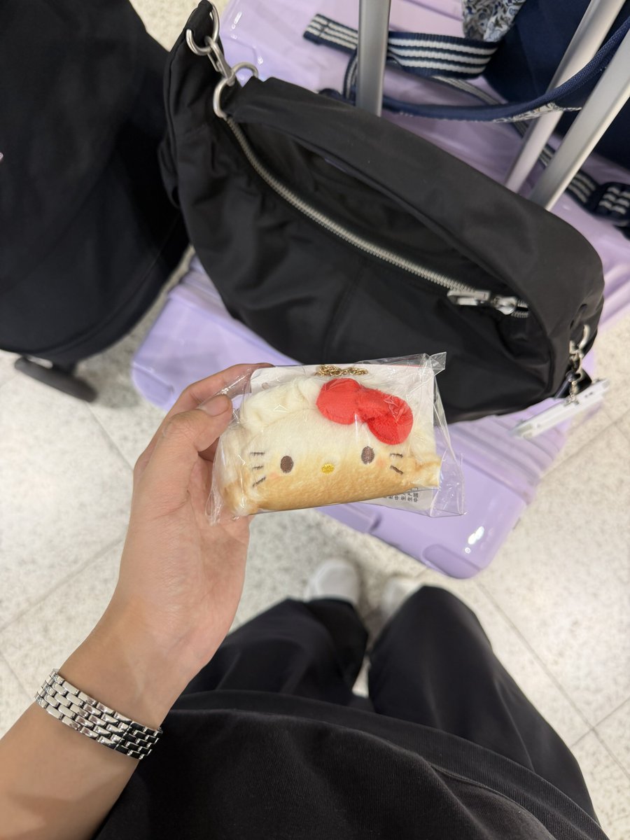 hiroka_pi's tweet photo. 上海限定の餃子キティついにゲット🥟思ってたより小さくてかわいい❤️🇨🇳浦東空港サンリオゲート SANRIO GATEにて購入✔️1人1点までの制限あり https://t.co/RD3H71vMRn