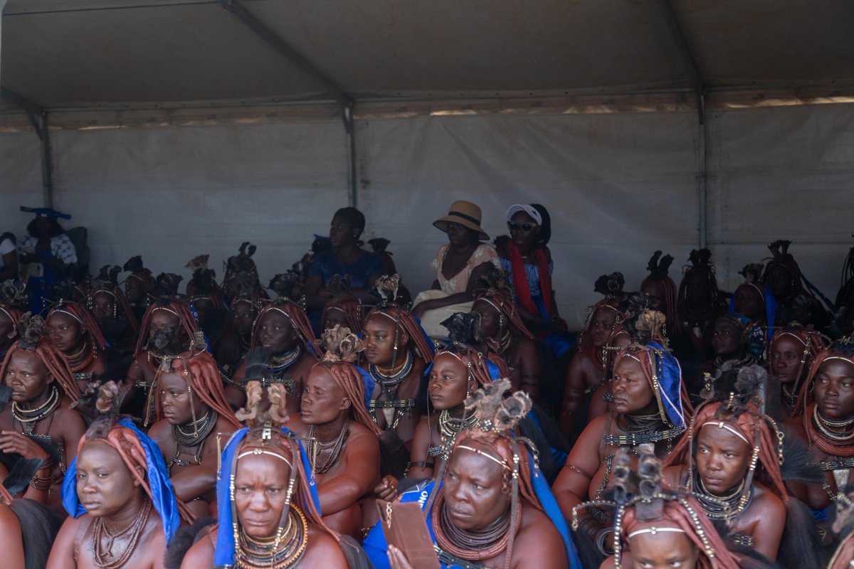 VPofNamibia tweet picture